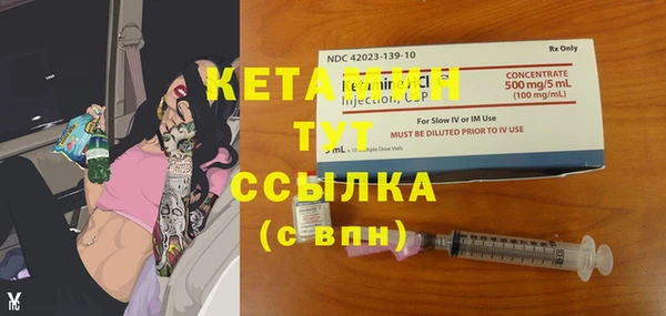 гашик Няндома