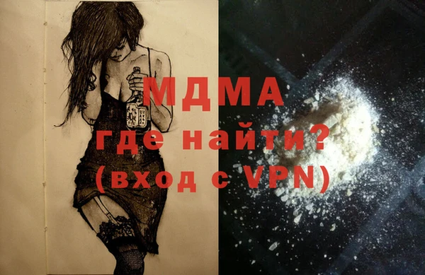 гашик Няндома