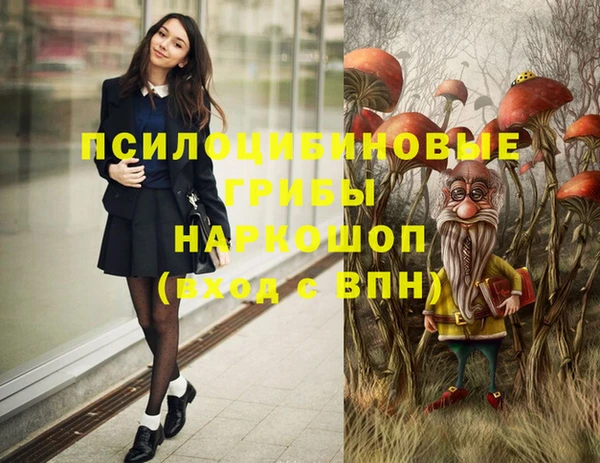 гашик Няндома